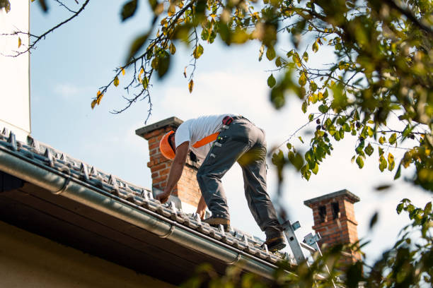 Best Roof Repair Services  in Fowler, MI