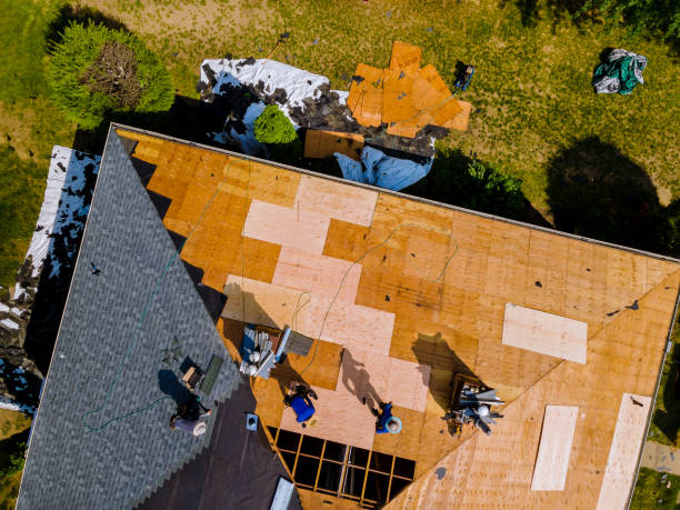 Best Local Roofing Companies  in Fowler, MI