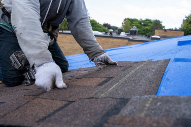 Best Storm Damage Roof Repair  in Fowler, MI