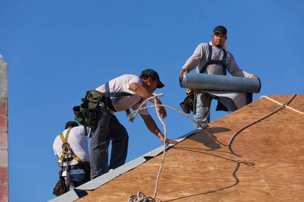 Best Roof Leak Repair  in Fowler, MI