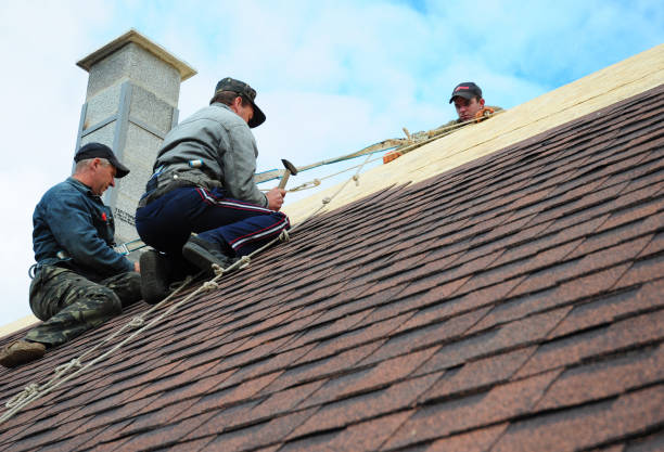 Best Sealant for Roof  in Fowler, MI