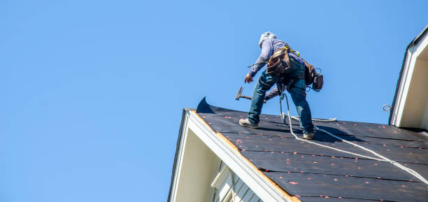Sealant for Roof in Fowler, MI